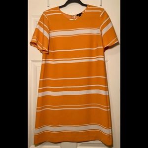 Ann Taylor Dress